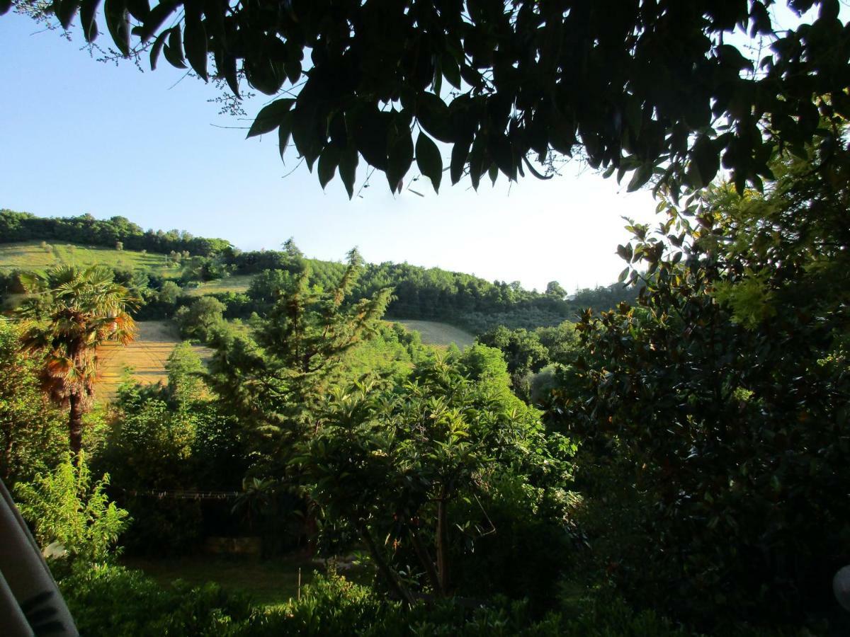 B&B Carboni Penna San Giovanni Exterior photo