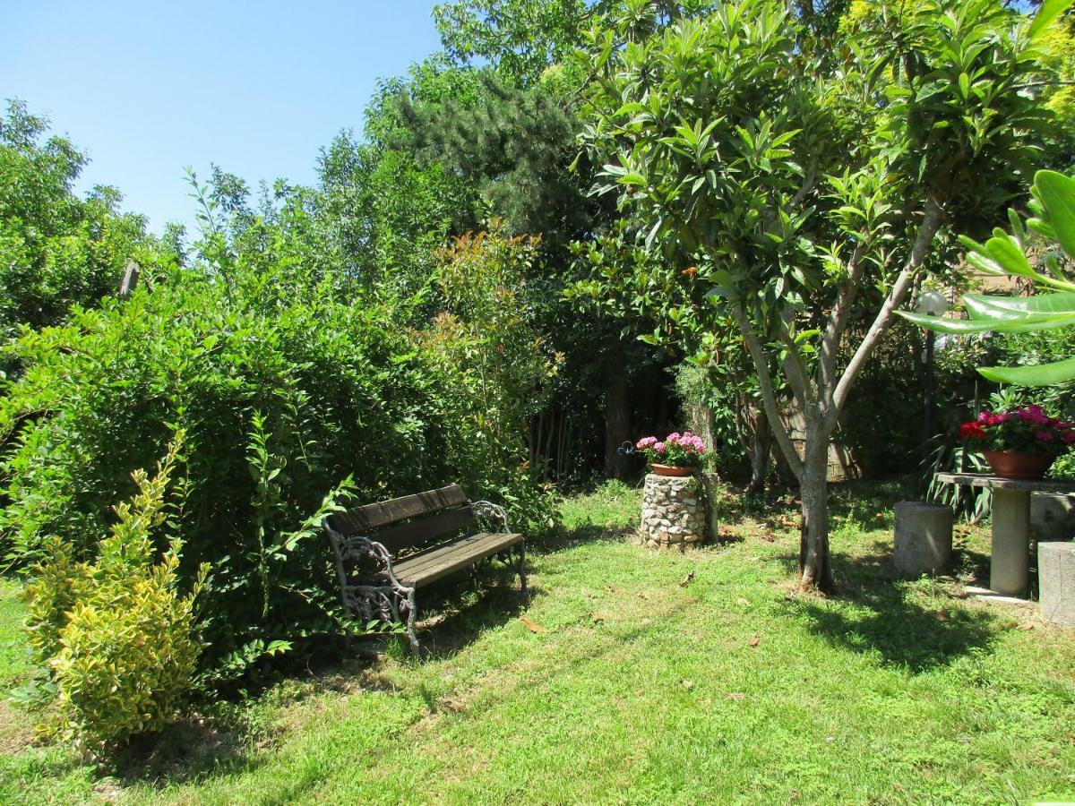 B&B Carboni Penna San Giovanni Exterior photo