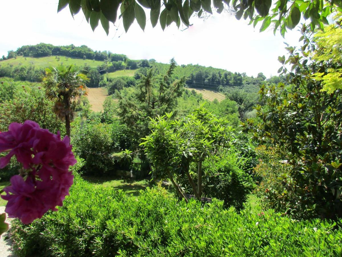 B&B Carboni Penna San Giovanni Exterior photo