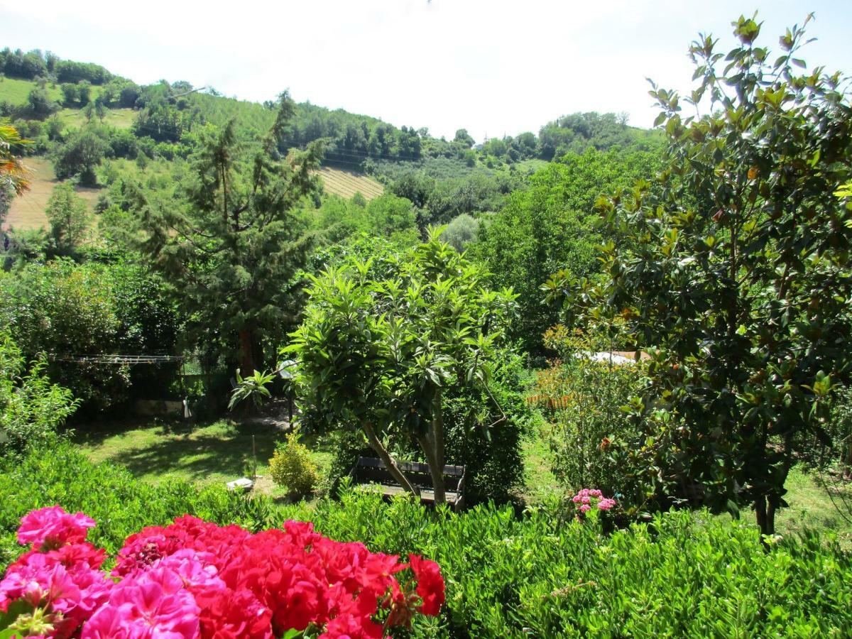 B&B Carboni Penna San Giovanni Exterior photo